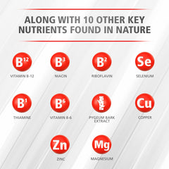 URINOZINC® Prostate Classic 250ct, Over 8 Month Supply